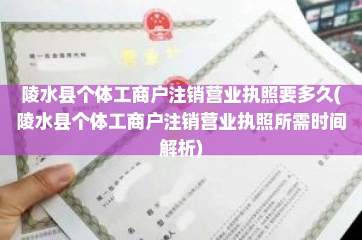 陵水县个体工商户注销营业执照要多久(陵水县个体工商户注销营业执照所需时间解析)