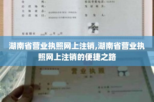 湖南省营业执照网上注销,湖南省营业执照网上注销的便捷之路