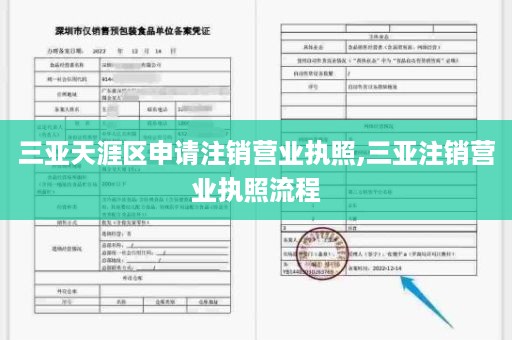 三亚天涯区申请注销营业执照,三亚注销营业执照流程