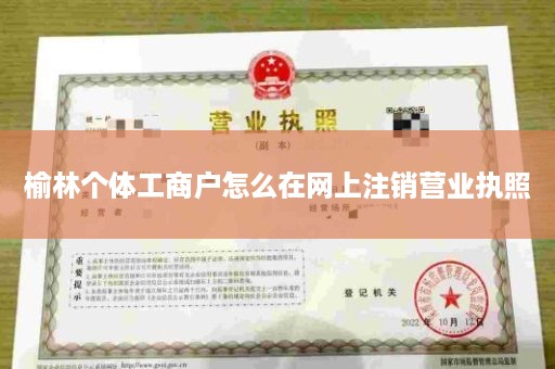 榆林个体工商户怎么在网上注销营业执照
