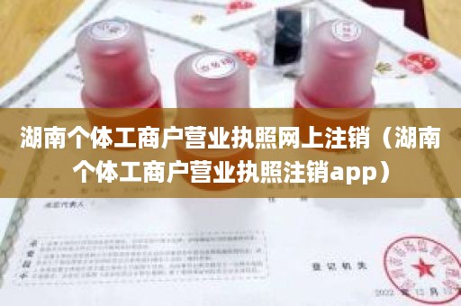 湖南个体工商户营业执照网上注销（湖南个体工商户营业执照注销app）