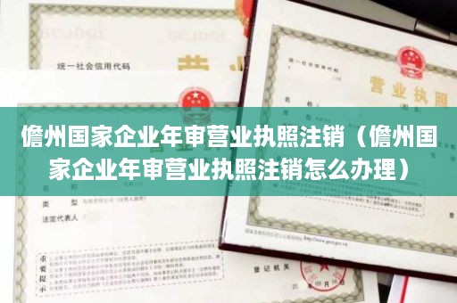 儋州国家企业年审营业执照注销（儋州国家企业年审营业执照注销怎么办理）