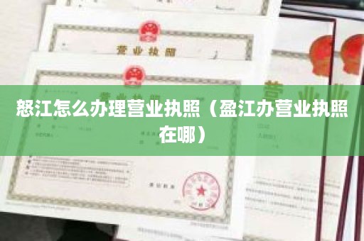 怒江怎么办理营业执照（盈江办营业执照在哪）