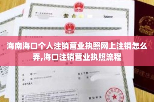 海南海口个人注销营业执照网上注销怎么弄,海口注销营业执照流程