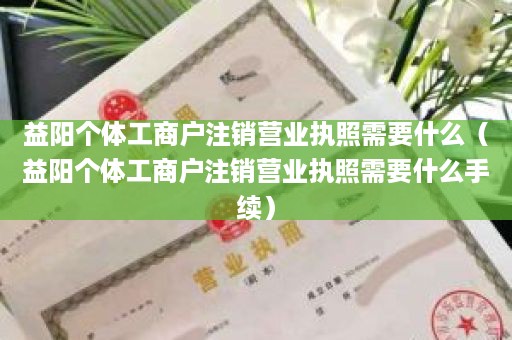 益阳个体工商户注销营业执照需要什么（益阳个体工商户注销营业执照需要什么手续）