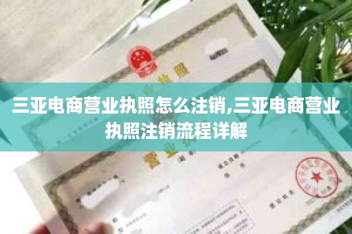 三亚电商营业执照怎么注销,三亚电商营业执照注销流程详解