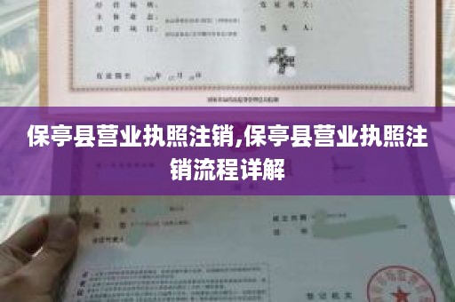 保亭县营业执照注销,保亭县营业执照注销流程详解