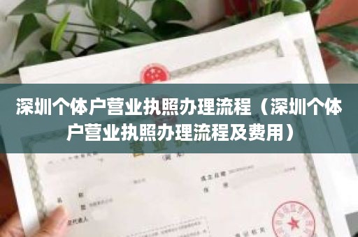 深圳个体户营业执照办理流程（深圳个体户营业执照办理流程及费用）