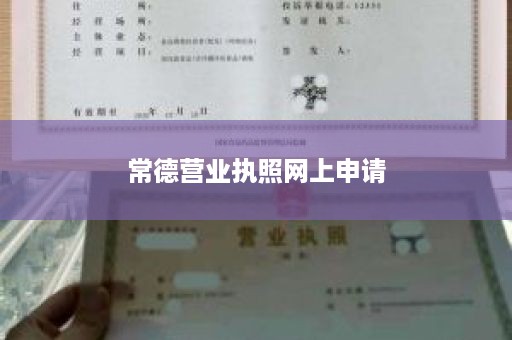 常德营业执照网上申请
