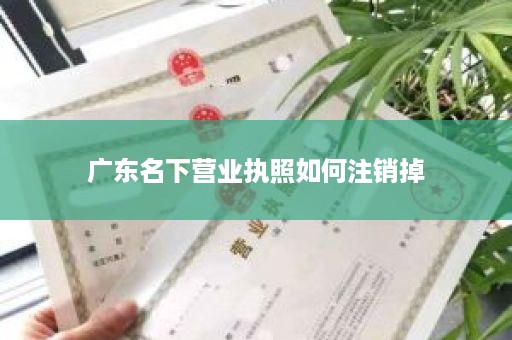 广东名下营业执照如何注销掉