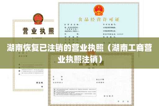 湖南恢复已注销的营业执照（湖南工商营业执照注销）