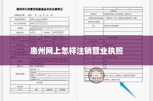 惠州网上怎样注销营业执照