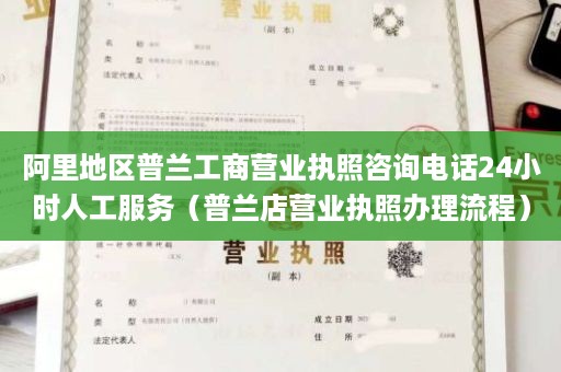 阿里地区普兰工商营业执照咨询电话24小时人工服务（普兰店营业执照办理流程）