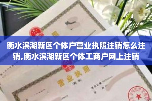 衡水滨湖新区个体户营业执照注销怎么注销,衡水滨湖新区个体工商户网上注销