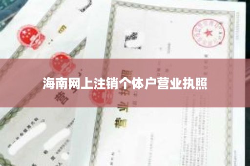 海南网上注销个体户营业执照