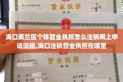 海口美兰区个体营业执照怎么注销网上申请流程,海口注销营业执照在哪里