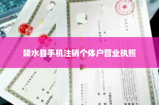 陵水县手机注销个体户营业执照