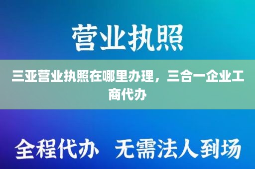 三亚营业执照在哪里办理，三合一企业工商代办
