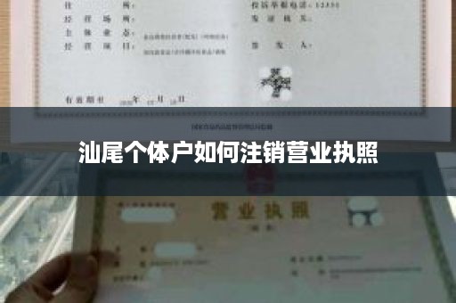 汕尾个体户如何注销营业执照