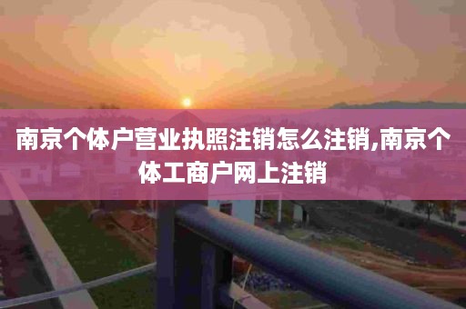 南京个体户营业执照注销怎么注销,南京个体工商户网上注销