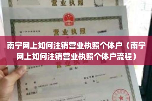 南宁网上如何注销营业执照个体户（南宁网上如何注销营业执照个体户流程）