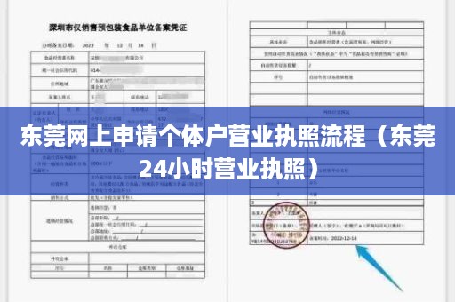 东莞网上申请个体户营业执照流程（东莞24小时营业执照）
