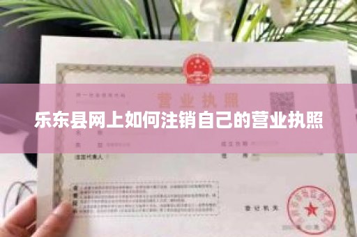 乐东县网上如何注销自己的营业执照