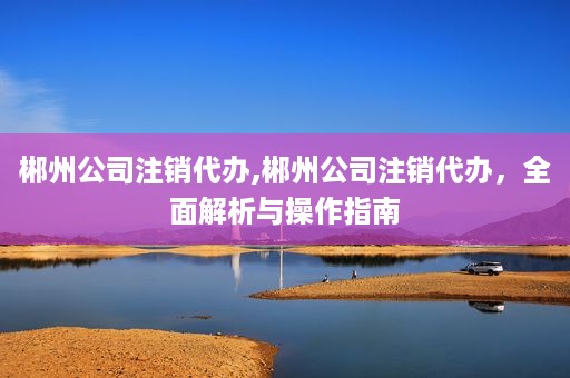 郴州公司注销代办,郴州公司注销代办，全面解析与操作指南