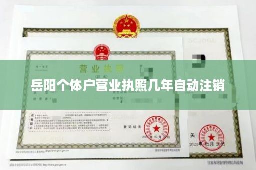 岳阳个体户营业执照几年自动注销