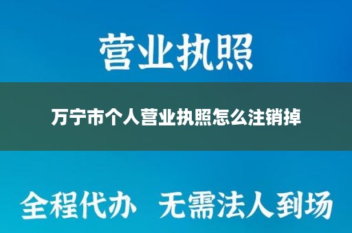 万宁市个人营业执照怎么注销掉