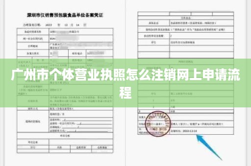 广州市个体营业执照怎么注销网上申请流程