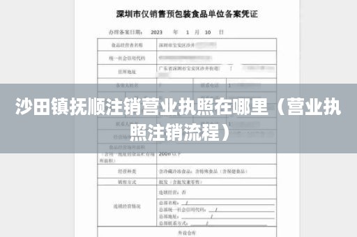 沙田镇抚顺注销营业执照在哪里（营业执照注销流程）