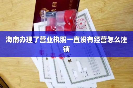 海南办理了营业执照一直没有经营怎么注销