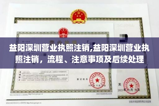 益阳深圳营业执照注销,益阳深圳营业执照注销，流程、注意事项及后续处理