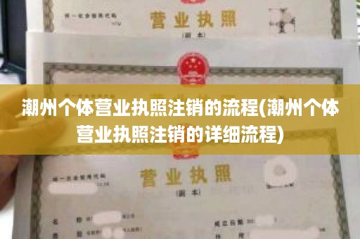 潮州个体营业执照注销的流程(潮州个体营业执照注销的详细流程)