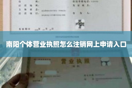 南阳个体营业执照怎么注销网上申请入口