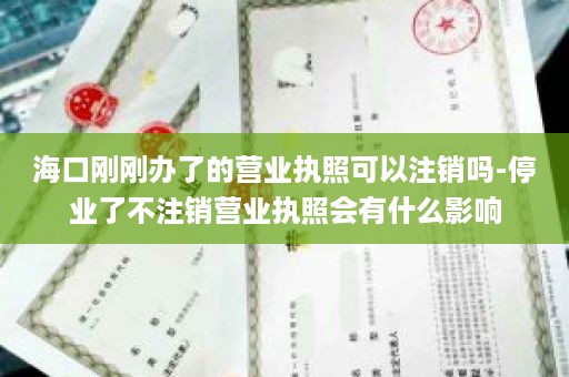 海口刚刚办了的营业执照可以注销吗-停业了不注销营业执照会有什么影响