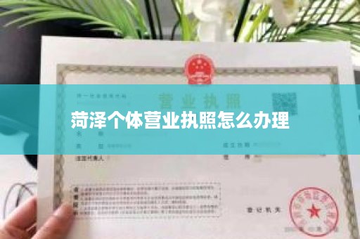 菏泽个体营业执照怎么办理