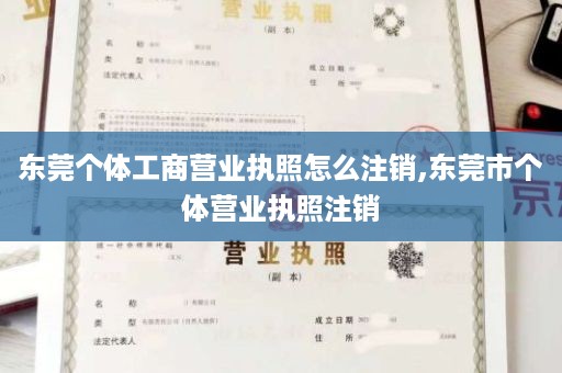 东莞个体工商营业执照怎么注销,东莞市个体营业执照注销