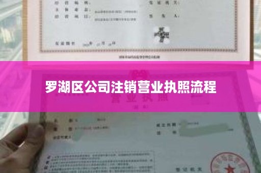 罗湖区公司注销营业执照流程