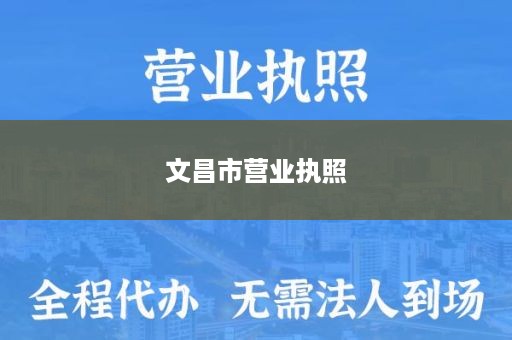 文昌市营业执照
