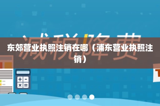 东郊营业执照注销在哪（浦东营业执照注销）