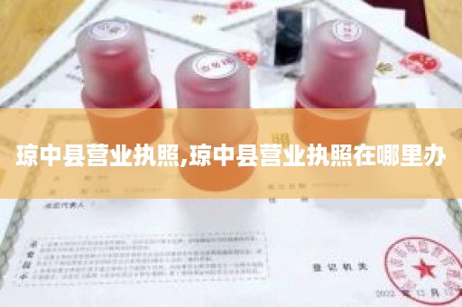 琼中县营业执照,琼中县营业执照在哪里办