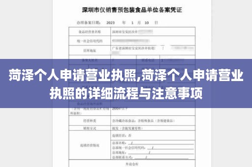 菏泽个人申请营业执照,菏泽个人申请营业执照的详细流程与注意事项