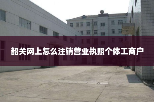 韶关网上怎么注销营业执照个体工商户