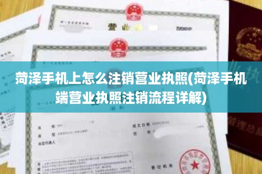 菏泽手机上怎么注销营业执照(菏泽手机端营业执照注销流程详解)