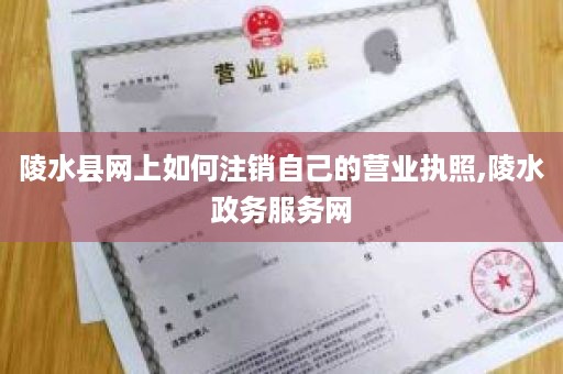 陵水县网上如何注销自己的营业执照,陵水政务服务网
