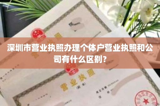 深圳市营业执照办理个体户营业执照和公司有什么区别？