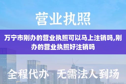 万宁市刚办的营业执照可以马上注销吗,刚办的营业执照好注销吗