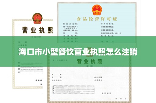 海口市小型餐饮营业执照怎么注销